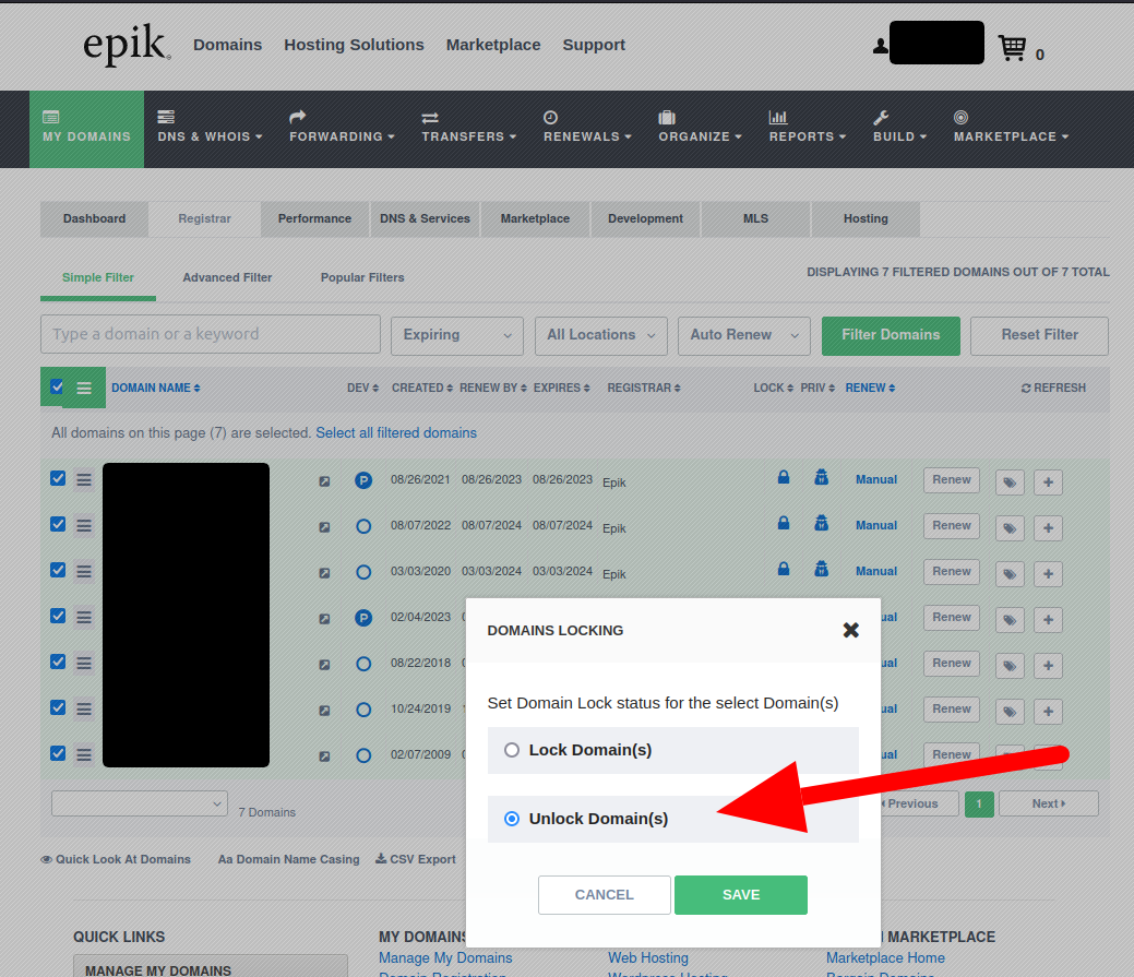 Epik unlock multiple domain names pop up